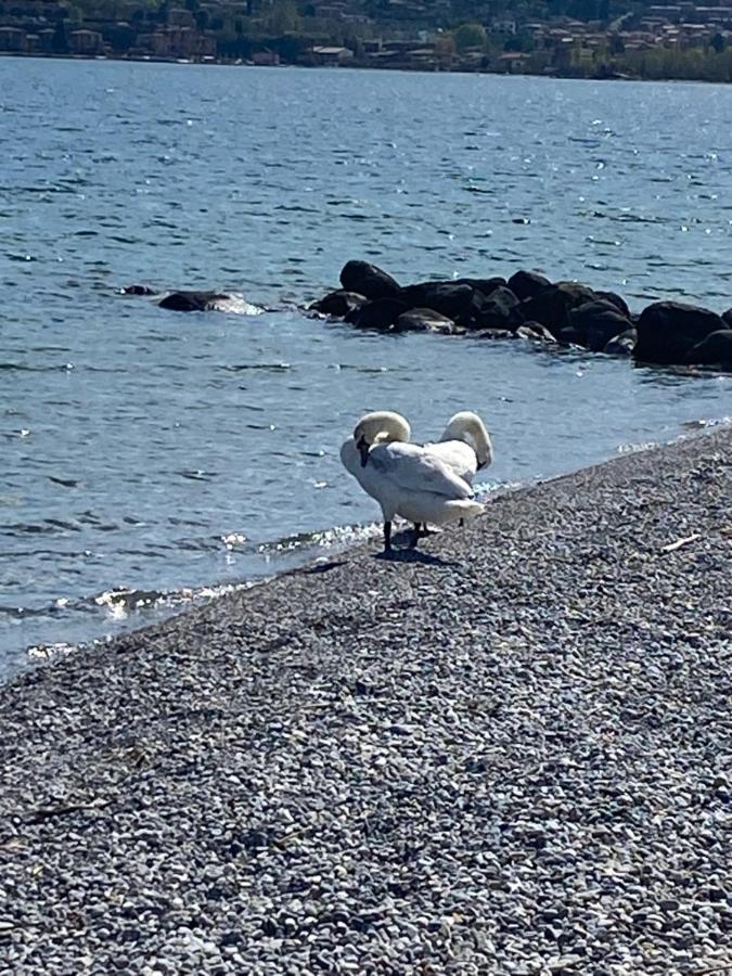 Casa Vacanze Gardiolina San Felice del Benaco Eksteriør bilde